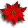 poinsettia